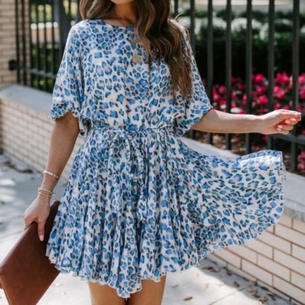 Aakaa Blue and White Leopard Print Mini Dress